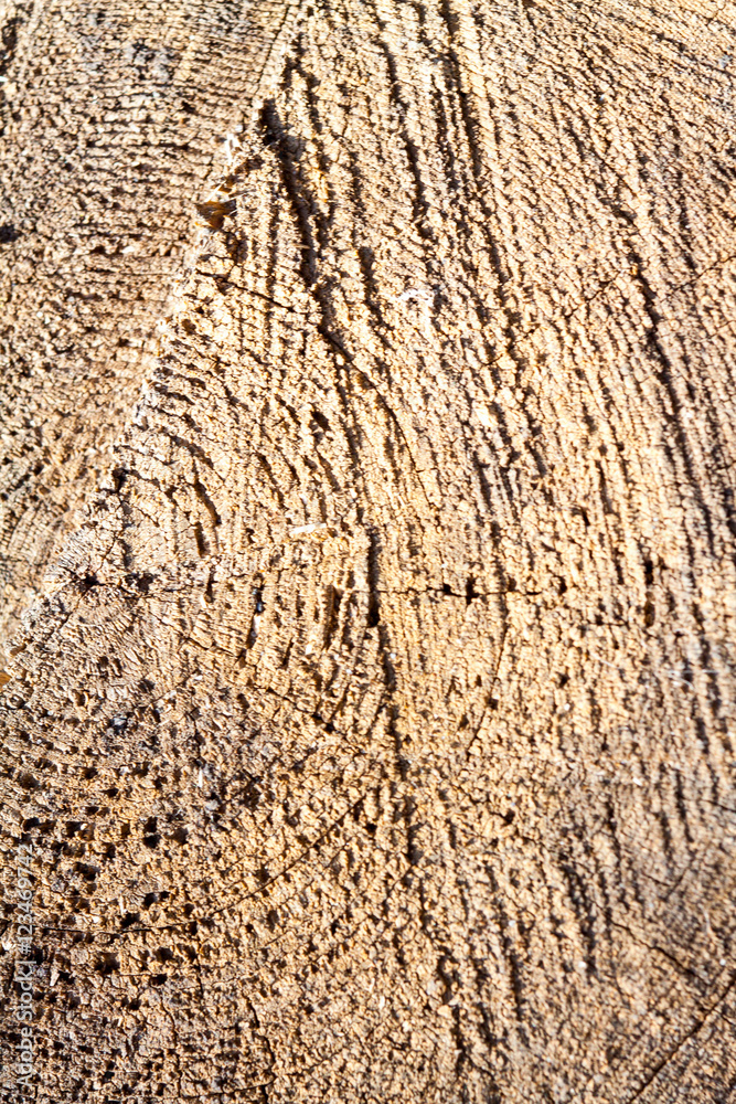 Naklejka premium wooden board background