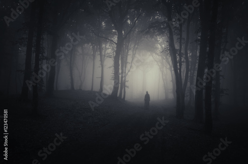 scary ghostly silhouette in...