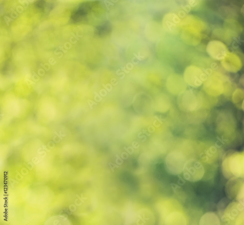 Abstract Green Background with Greenery Foliage Glitter. Spring