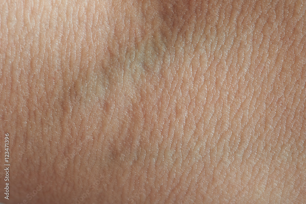 Fototapeta premium macro of blood vein