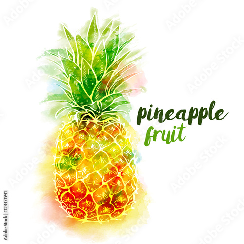 Bright color pineapple fruit and lettering on white background with watercolor stains. Vector illustration.