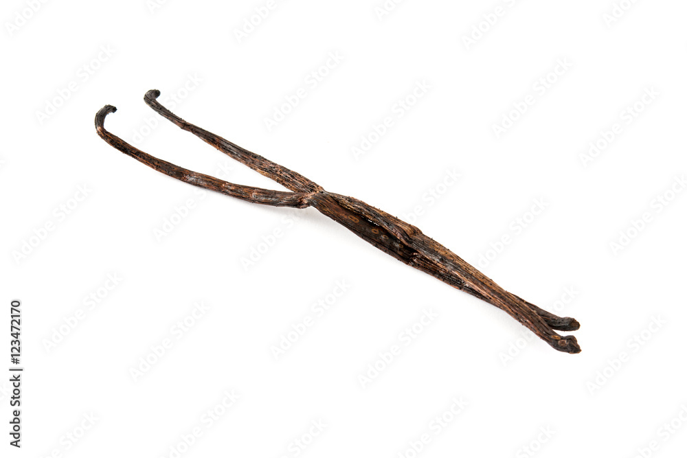 Vanilla pods isolated on white background
Vanilla pods isolated on white background
