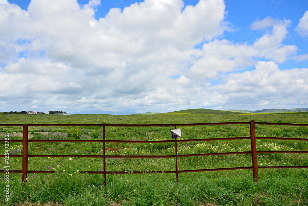 fenced field