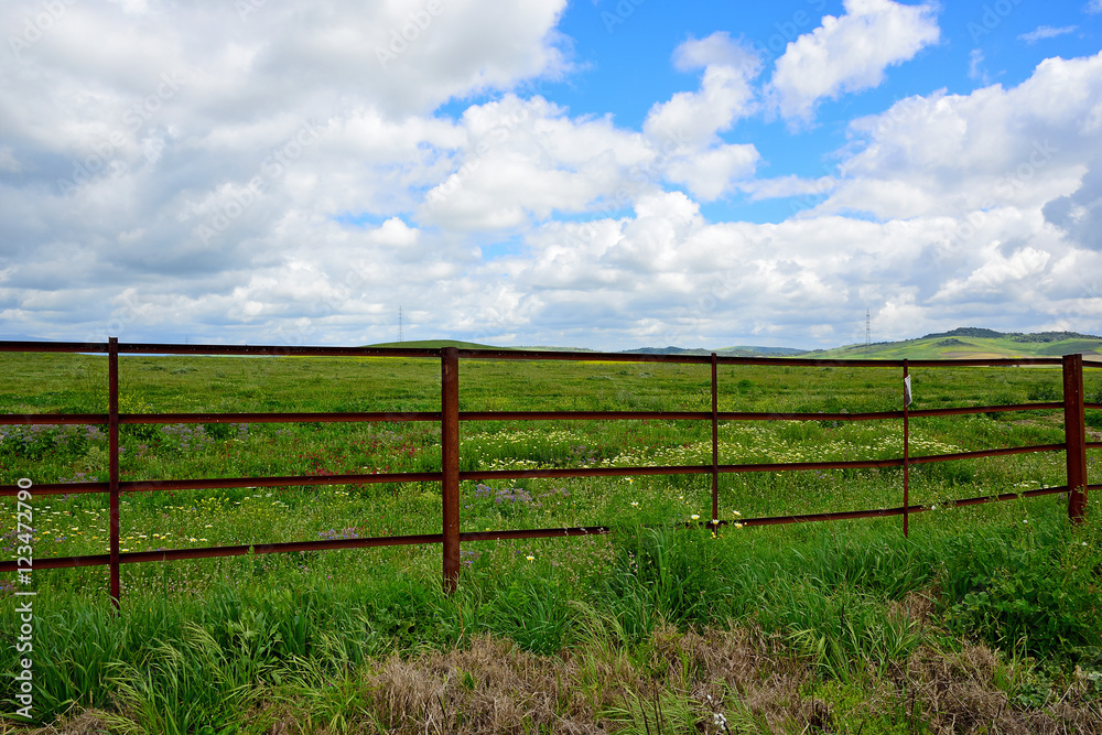 fenced field