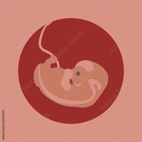 Embryo phase of born