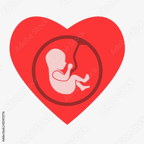 Embryo phase of born