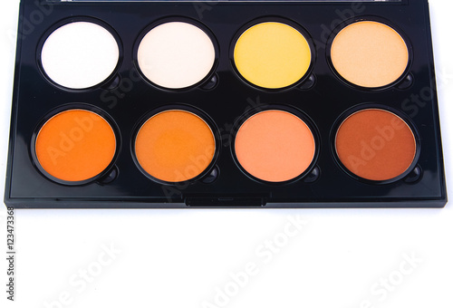 Makeup Palette / Makeup and Cosmetics /Makeup Palette and tools on a white background