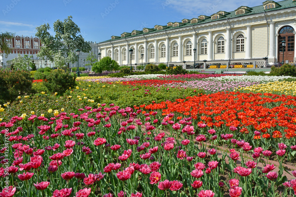 Square in the Alexander garden in Moscow