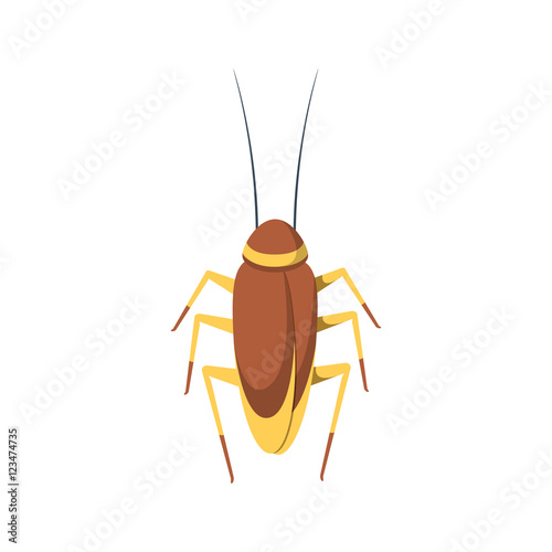 Cockroach infestation urban.