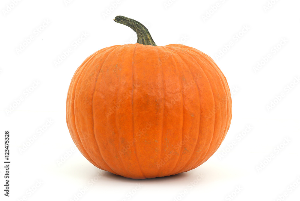 orange pumpkin on white background for halloween or thanksgiving
 - obrazy, fototapety, plakaty 