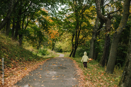 Little girl in the autumn park. pathway
