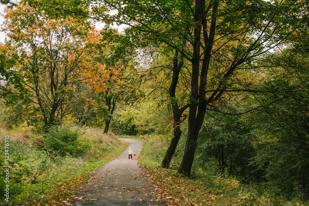Obraz premium Little girl in the autumn park. run pathway