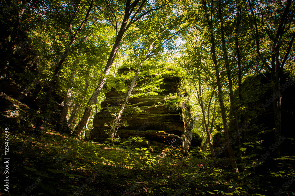 Naklejka premium Magical forest huge stones