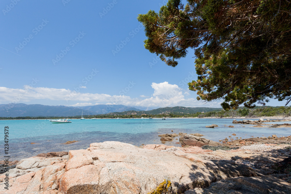 Vacances à la plage en Corse - France - europe
