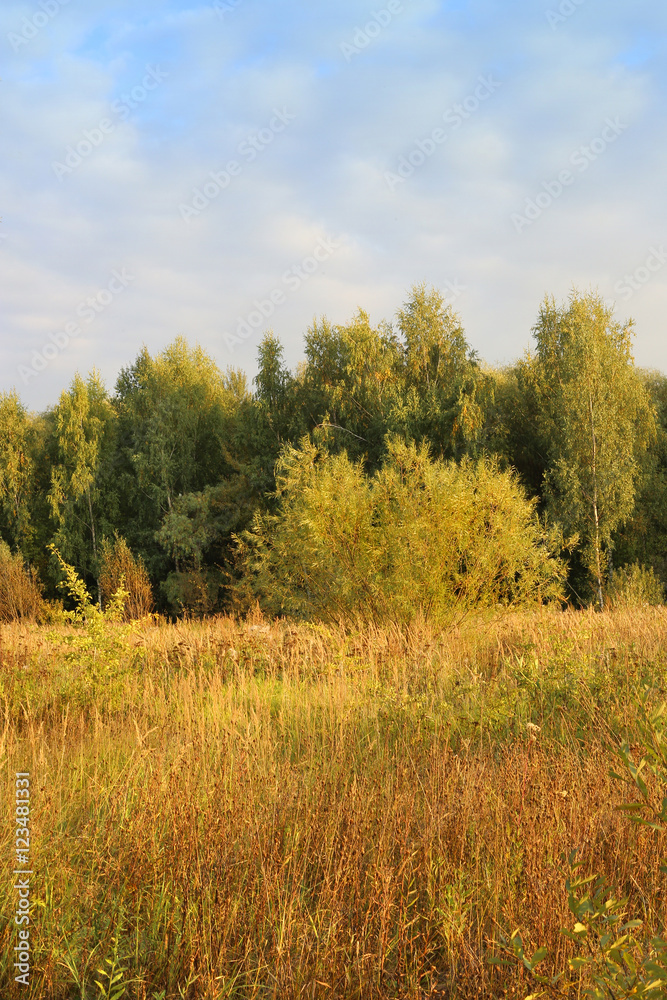 Autumn landscape