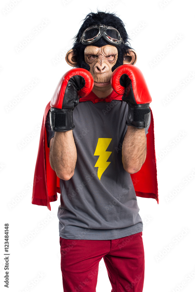 Superhero monkey man with boxing gloves Superhero monkey man with boxing gloves