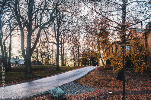 Trees and Streets of Stockholmg, Sweden photo