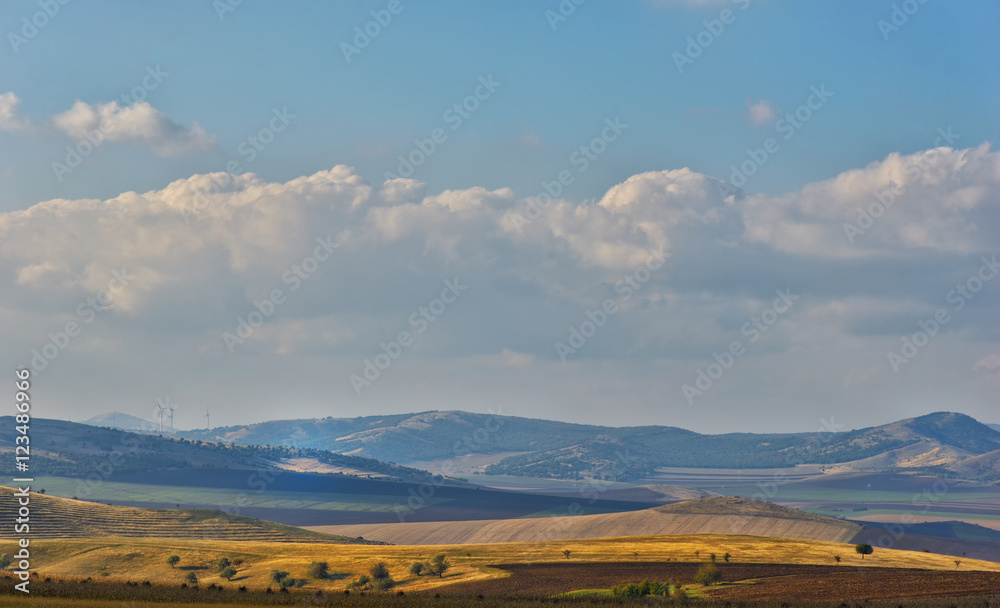 landscape with blooming fields in summer, Dobrogea, Romania