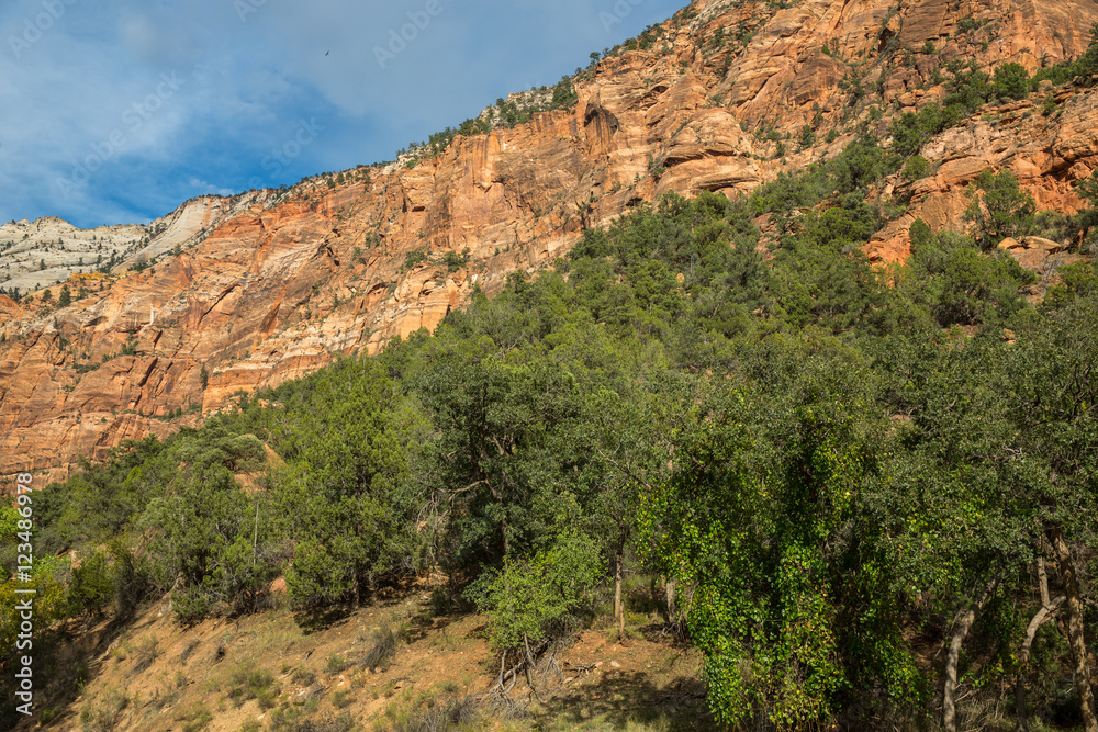 Zion National Park, USA.