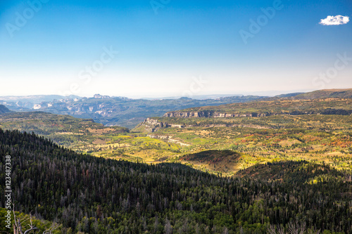 Landscape in Zion National Park  USA.