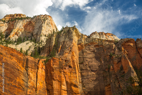 Landscape in Zion National Park  USA.