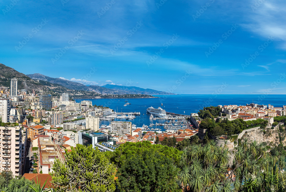 prince's palace in Monte Carlo, Monaco