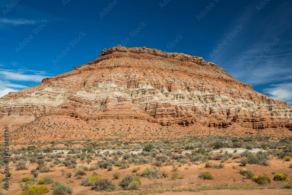 Fototapeta premium Desert landscape in Utah, USA.