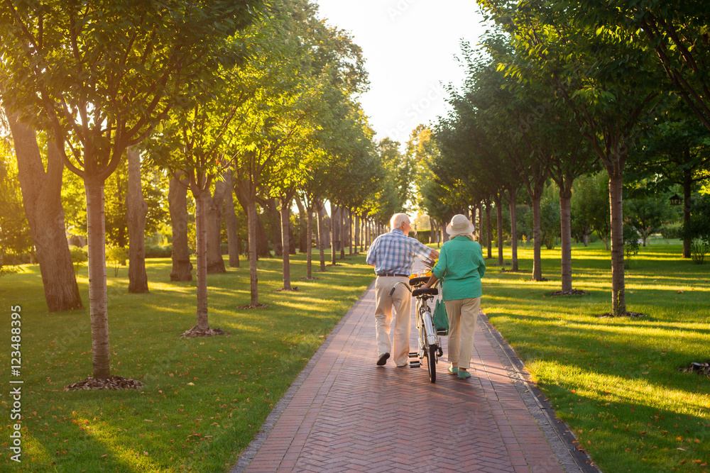 Senior couple walking with bicycle. People in the park. Our road through life. Find place under the sun.