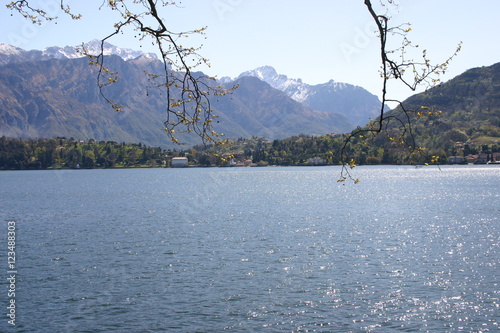 The Lake Como from Villa Carlotta at Canedabbia photo