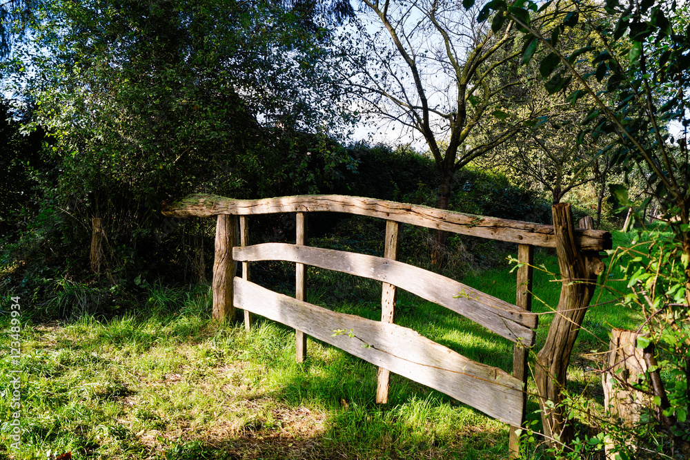 Altes Weidetor aus Holz 