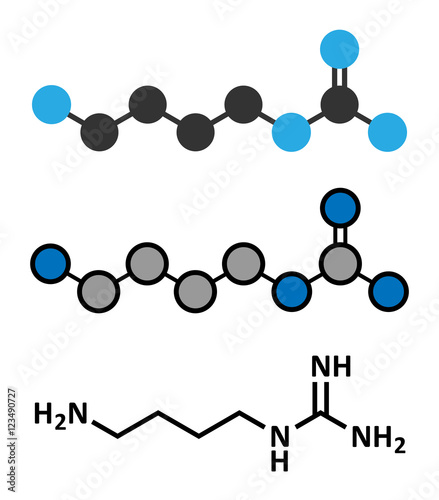Agmatine molecule. Stylized 2D renderings and conventional skeletal formula.