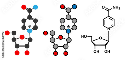 Nicotinamide riboside (NR) molecule. Stylized 2D renderings and conventional skeletal formula. Precursor of nicotinamide adenine dinucleotide (NAD).