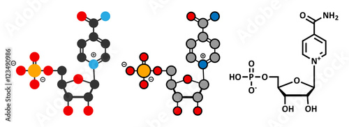Nicotinamide mononucleotide molecule. Stylized 2D renderings and conventional skeletal formula. Precursor of NAD+.