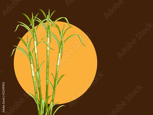 Sugarcane Vector Background