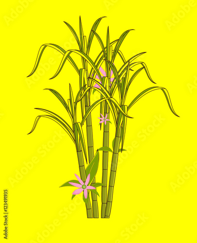 Flowers Blooming on Sugarcane Sticks