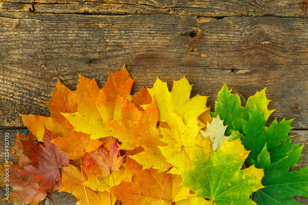 Red, yellow and green maple leaves on old wooden background Red, yellow and green maple leaves on old wooden background