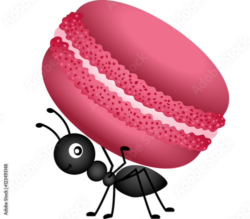Ant Carrying a Macaroon
