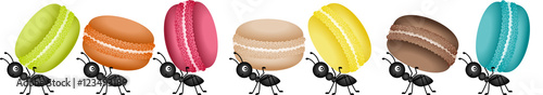 Ants on the march to deliver macaroons
