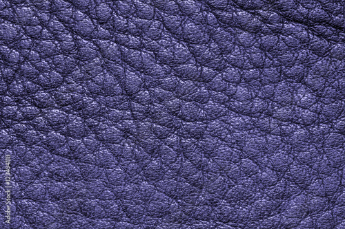 Deep blue leather texture or leather background for design with copy space for text or image.