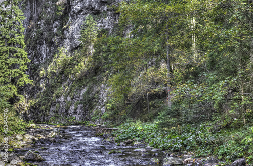 Mountain stream in the forest. HDR color photo