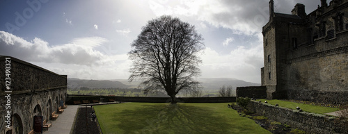 Tree in the Courtyard at Edinburgh Castle