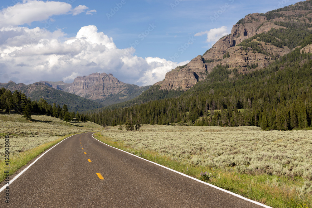 Fototapeta premium Two Lane Road Transportation Yellowstone National Park Wyoming