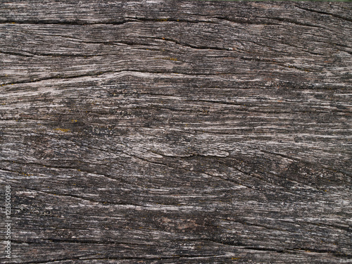 old wooden beam, close up with a good visible structure and scratches