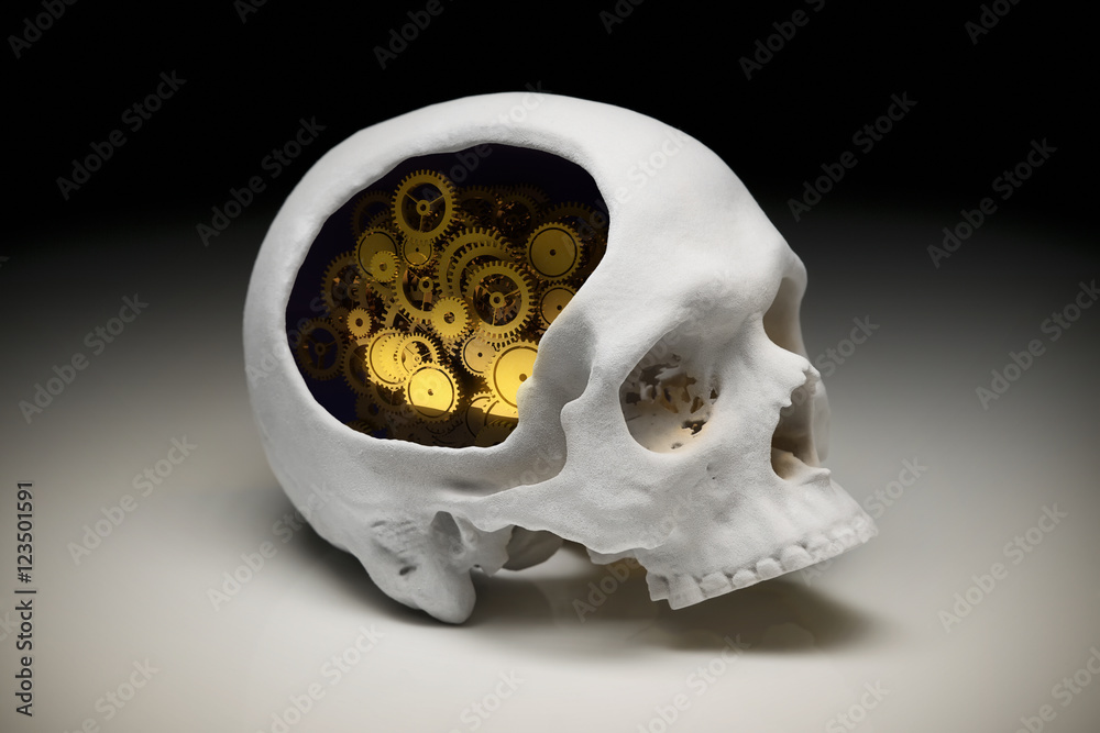 Human head with Gears Human head with Gears