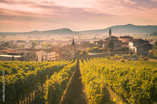 View of Soave (Italy) surrounded by vineyards.
