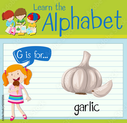 Flashcard letter G is for garlic