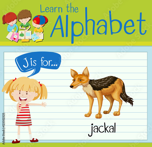 Flashcard letter J is for jackal
