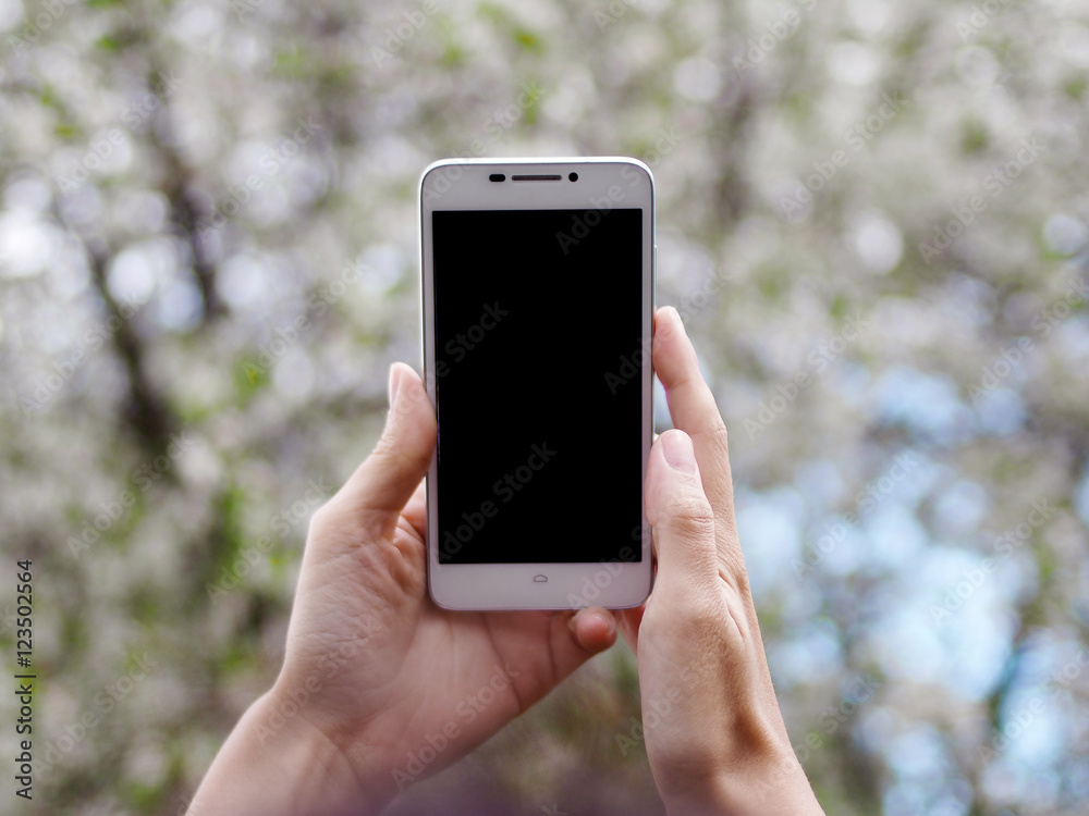 Woman holds a smartphone and makes photos. Telephone over blossoming spring tree background, soft focus, close up