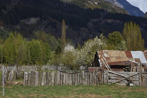 Spring blossom on the trees in the small village of Maniguales on the Carratera Austral in the Aysen Region of southern Chile. photo