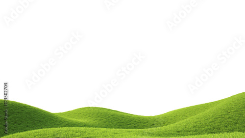 Green field. 3D rendering
